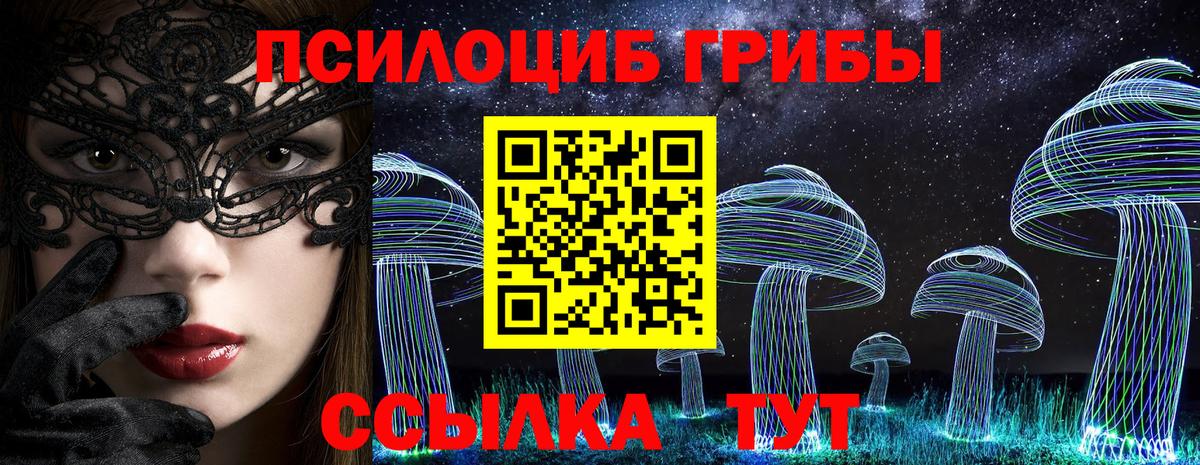 Псилоцибиновые грибы Cubensis Ярцево