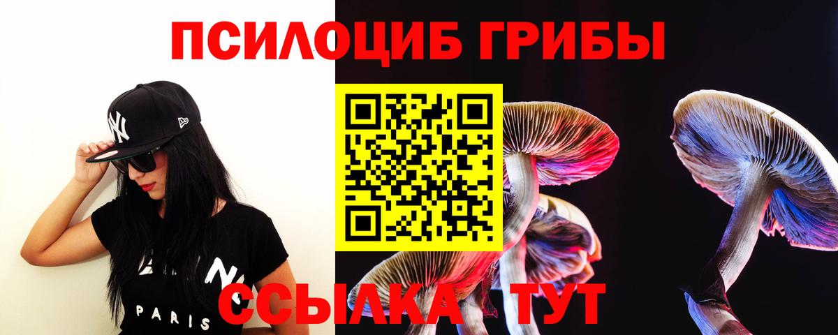 Ярцево  Галлюциногенные грибы Cubensis  Псилоцибиновые грибы MAGIC MUSHROOMS  Вход с VPN 